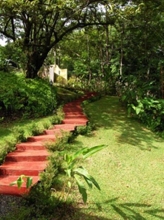 Amatierra Retreat And Wellness Center Bolson (San Jose) Ngoại thất bức ảnh
